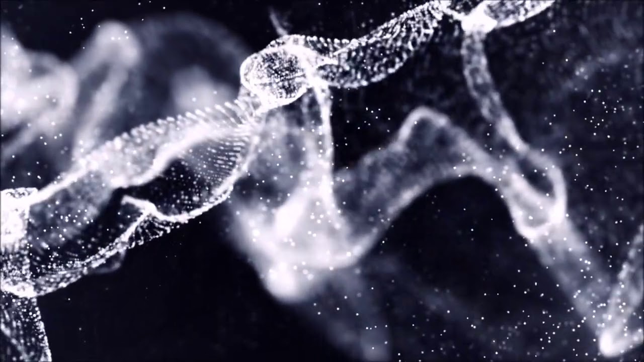 Miramorf - Mist [Visualization]