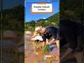 head in the mud #shorts #animals