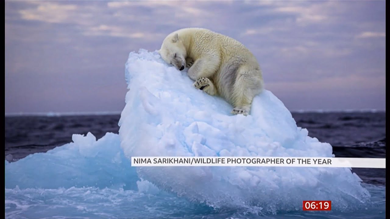 Wildlife Photographer of the Year People's Choice Award winner and ...