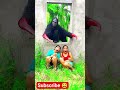 भूत आया भागो 😱, Chinese Ghost shorts~mini wowoodworkingod toys - art / hand craft,skills #shorts