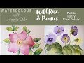 Part 6 Wild Roses &amp; Pansies in Watercolour with Angela Fehr: Pansy Details