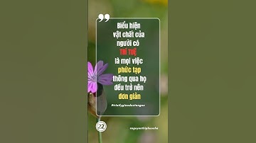 #22 Triết Lý Giáo Dục Tận Gốc | Nguyễn Thị Phước Hà