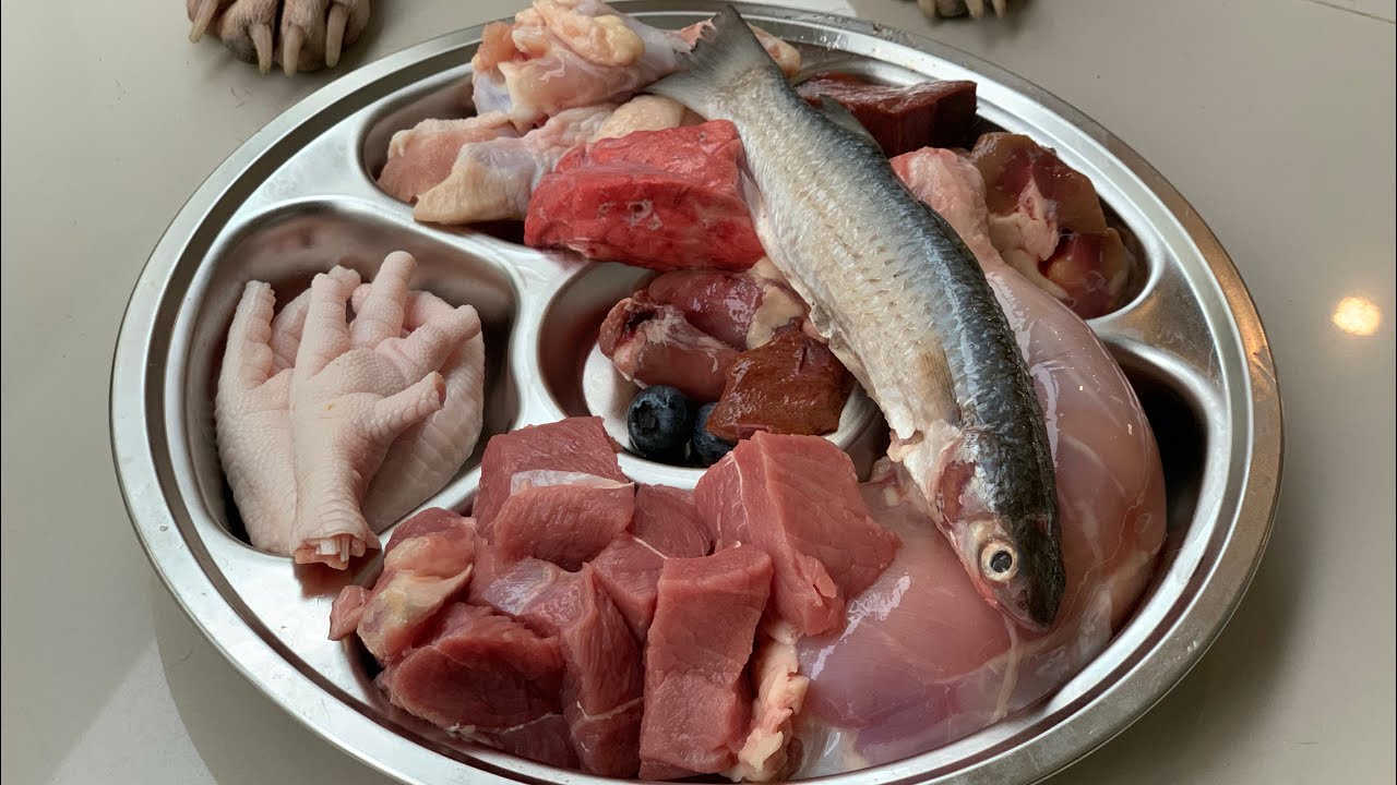 nomyen the Pit Bull eats Wild Caught Grey Mullet+Beef Shank Steak combo[ASMR] MUKBANG 犬が生の肉を食べる[咀嚼音]