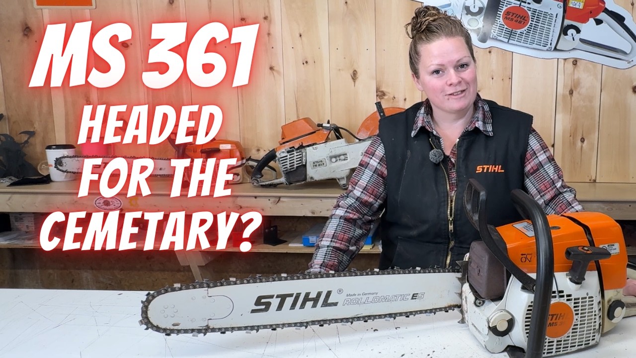 Chainsaw Resurrection:   Stihl MS 361 Dead Under The Work Bench