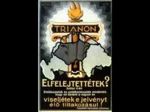 Egészséges Fejbőr - Rózsa Virág