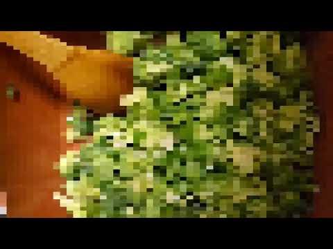 Day 4 recipe and squash preview