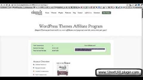 Short URL Plugin for Wordpress (Install Walkthrough)