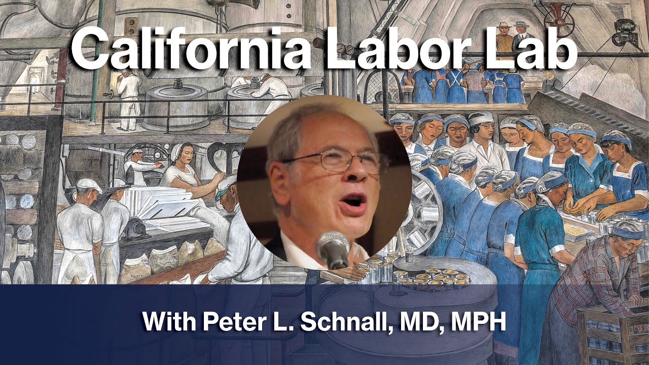 Work Stressors and Illness in the United States: The Healthy Work Campaign