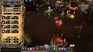 Torchlight Tutorial | Basic Key Commands