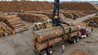 Inside the World s Most Advanced Sawmills From Forest to Lumber Veneer Plywood