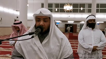 أواخر سورة القلم للقارئ : محمد ربيع عبدالحفيظ