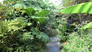 Our Small Jungle Garden \/ Onze Kleine Jungle Tuin \/ At Its Best!
