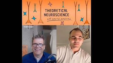 Episode #30: On co-dependent excitatory and inhibitory plasticity – with Tim Vogels