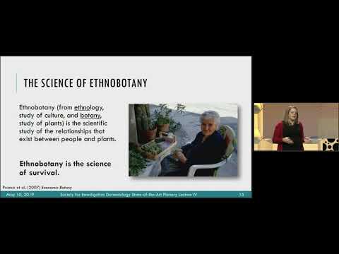 2019 SID State of the Art Plenary Lecture IV