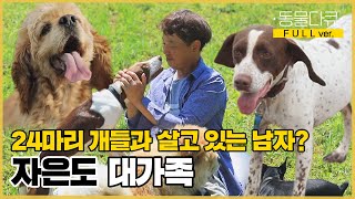 [풀버전] 한반도 최서남단 자은도에서 24마리 개들과 살고 있는 남자태원 씨가 대가족을 꾸리게 된 이유 | 동물극장 단짝 EP32 | KBS 220924 방송