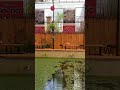 Quán cơm hồi đó Đà Lạt