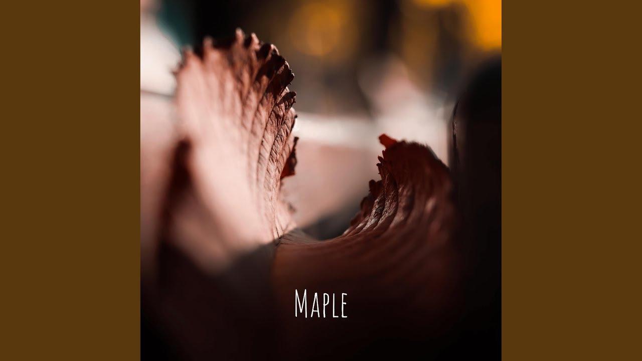 Maple auf YouTube ansehen Maple auf YouTube ansehen
