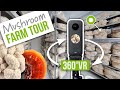 See inside our mushroom farm  360 vr tour  grocycle