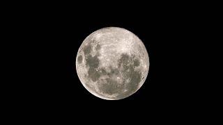 Auckland Super Moon Again 4K