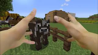 MINECRAFT IN REAL LIFE!   IRL Minecraft Animations   In Real Life Mine