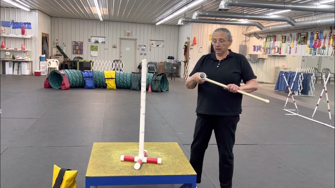 Make a wicket to practice measuring your dog. YouTube