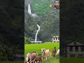 Natural nature Nepal.#viralvideos #shortvideos #naturenepal