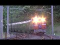 2024.6.15寝台列車カシオペア号(東北線)【野鳥の森の中】