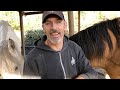 Answers to Common Objections & Criticisms of Listen To Your Horse