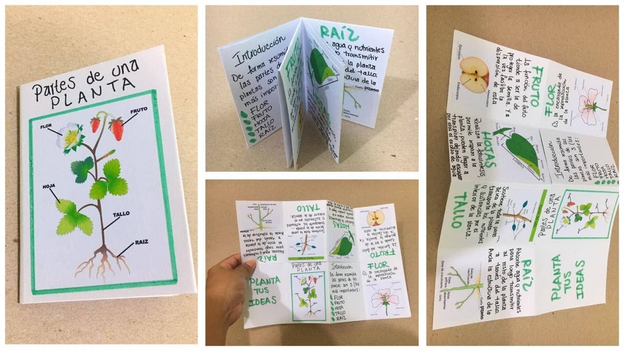 Cómo hacer un FANZINE tamaño A4 - YouTube