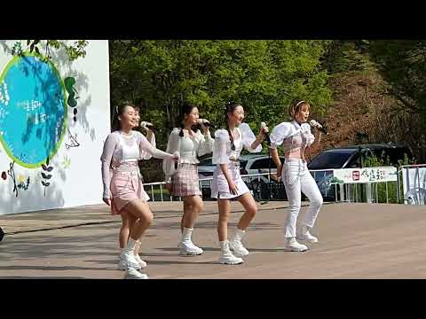 💓경사났네 (원곡 김다현 김도현)❣ 파스텔걸스💕 양평 용문산 산나물축제