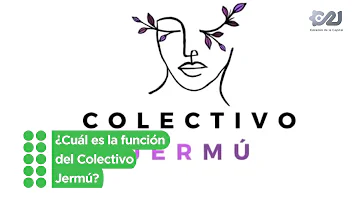 ¿Qué función tiene el colectivo?