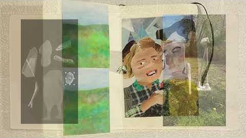 Bernie & Seabirds v. Borg --- melon husk jr