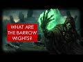 Middle-earth Mysteries: Barrow-wights THEORY [Lord of the Rings lore]