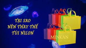 Tại Sao Nên Sử Dụng Túi Không dệt Thay Thế Túi nilon #Minkan #tuivaiminkan #Shorts