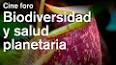 La Importancia de la Biodiversidad para el Bienestar Humano ile ilgili video