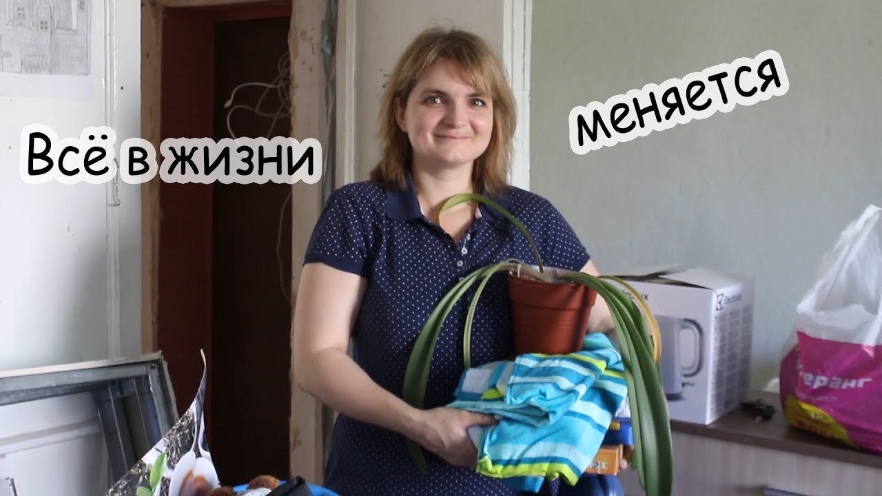 Катя сидоренко киев