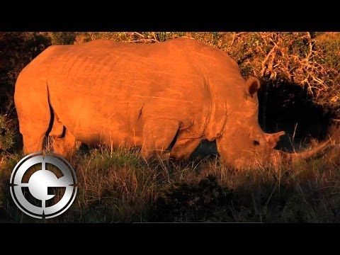 John X Safaris