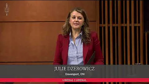 MP Julie Dzerowicz Makes A Statement in the House on Public Safety