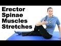 Erector Spinae Muscles Stretches - Ask Doctor Jo