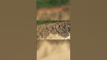 SHEET MULCHING | The Easiest Way to Create a WEED FREE Garden in Just a Few Minutes | #shorts