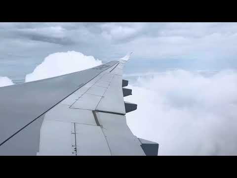 NEW YORK JFK landing | ITA AIRWAYS A330-900neo (4K UHD)