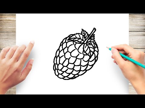 Video: How To Draw A Sprig Of Raspberries With A Pencil