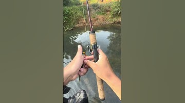 Câu lure cá mương #hunght1890 #lurefishing