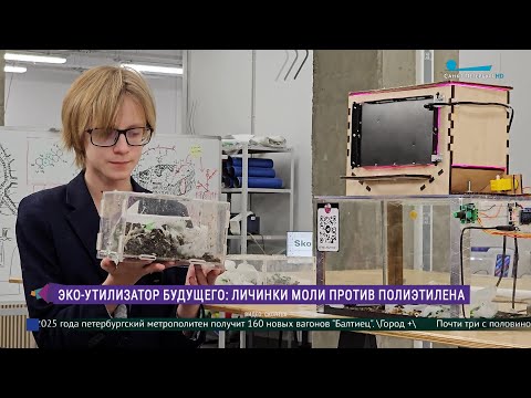 Видео: Моль против полиэтилена: эко-утилизатор будущего поможет решить две проблемы сразу