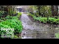 10시간 숙면을 위한 빗소리 - 불면증, 공부, 집중, 명상, 스트레스 개선 효과 백색소음