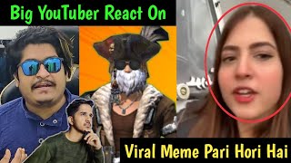 Big YouTuber React On  pawri Hori Hai  Viral Meme ?