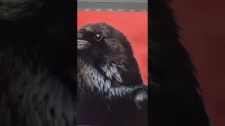 Tutorial Photoshop: Potong Objek Dari Background Rumit & Berwarna