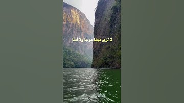 #قرآن #تلاوات #محمد_ايوب #قرآن #اكسبلور #quranismylife #قران_كريم #explore #quranforeever