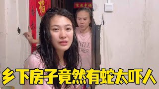 带着婆婆回乡下住，转头竟然发现一条大毒蛇，太吓人了！【湘西石三妹】