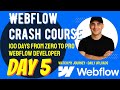 Webflow Crash Course - Day 5 of My 100-Day Webflow Developer Journey